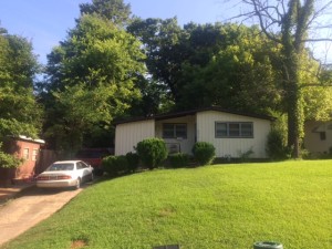 House #3 in Birmingham - Traci Williams